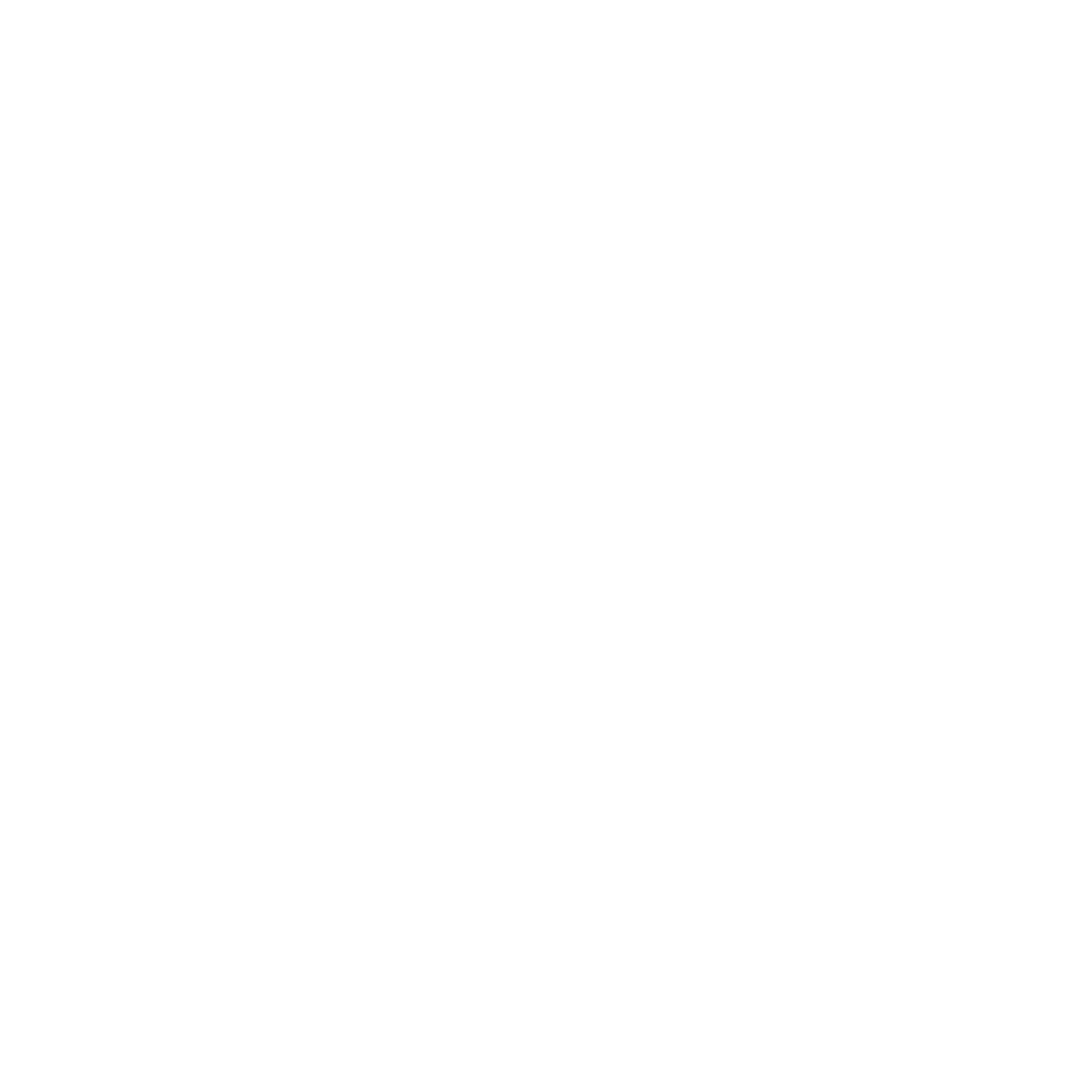 Bronze Partner: $1,000+