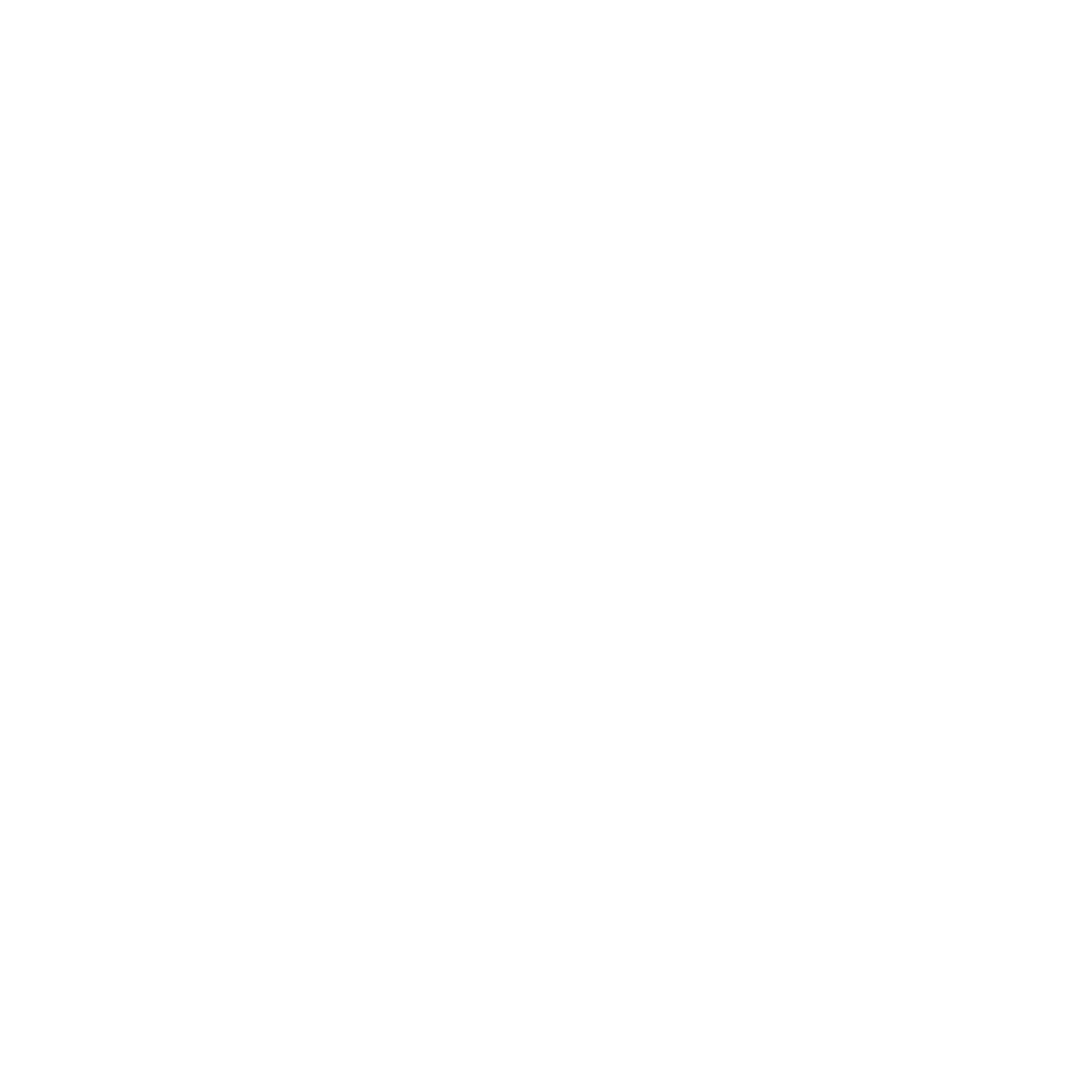 Facilitated Reflection